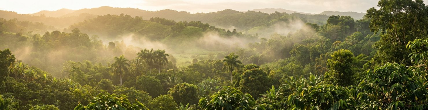 Collines verdoyantes de Nine Mile en Jamaïque, terre natale de Bob Marley