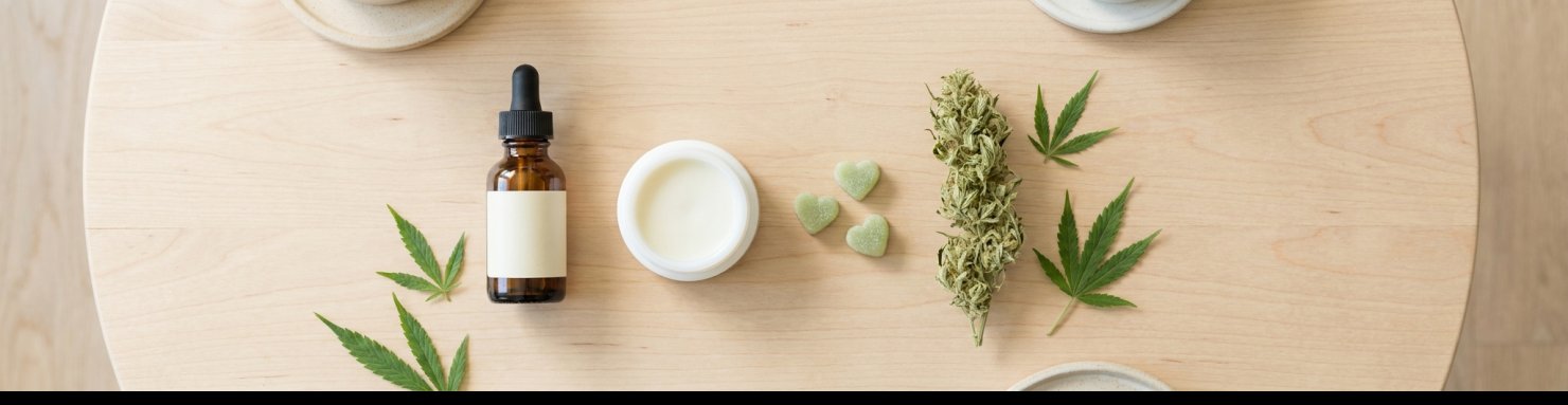 Différentes formes de CBD pour le sport de combat : huile, baume, gommes et fleurs
