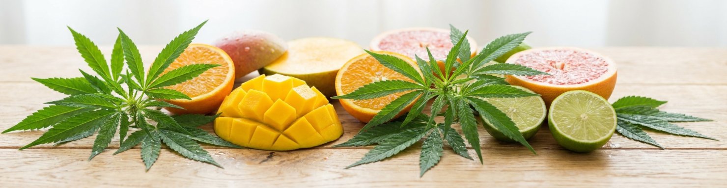 Green Crack, feuilles de cannabis sativa avec mangue et agrumes évoquant son profil aromatique