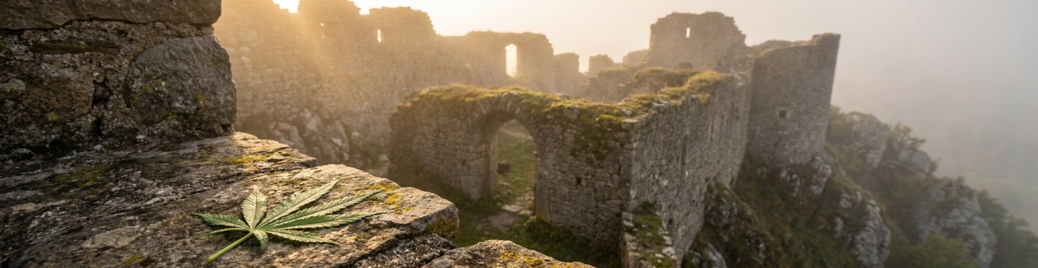 Ruines de forteresse médiévale et feuille de cannabis, héritage de la secte des Assassins dans la culture populaire